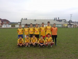 15 - pjetlici